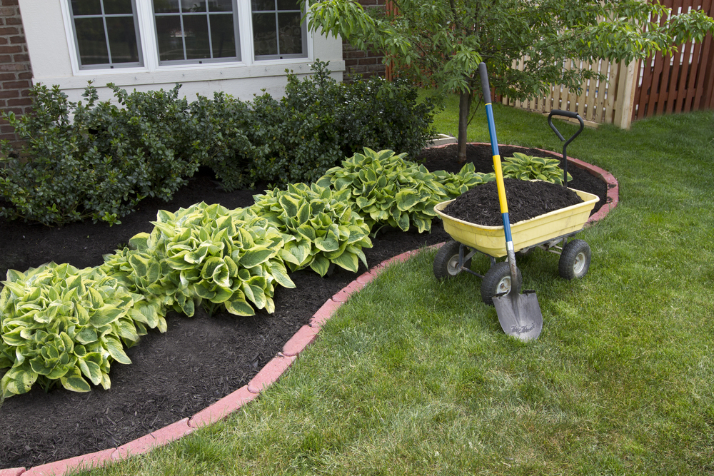 Garden Mulch Strategies: 10 Effective Ways to Improve Soil